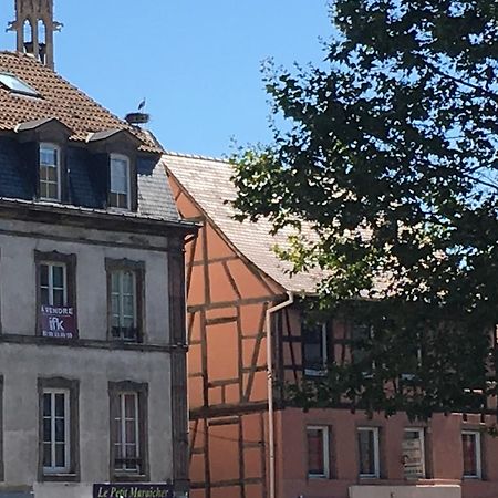 Les Hauts De Colmar Esterno foto